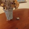 IMG_20220514_183554999