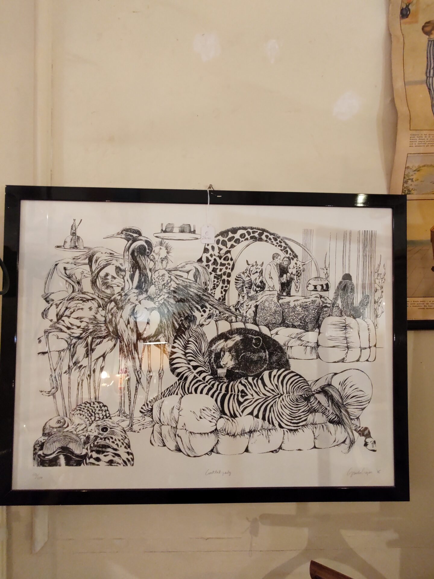 IMG_20221001_142949764